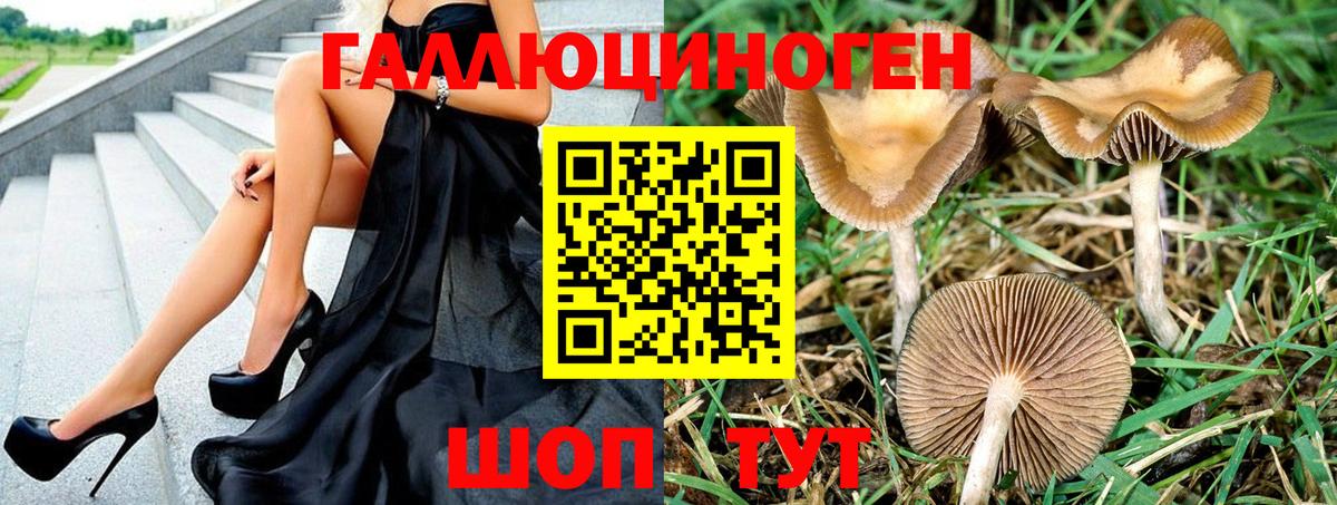 Рыбинск  Псилоцибиновые грибы Psilocybe  магазин  наркотиков  Вход с VPN 