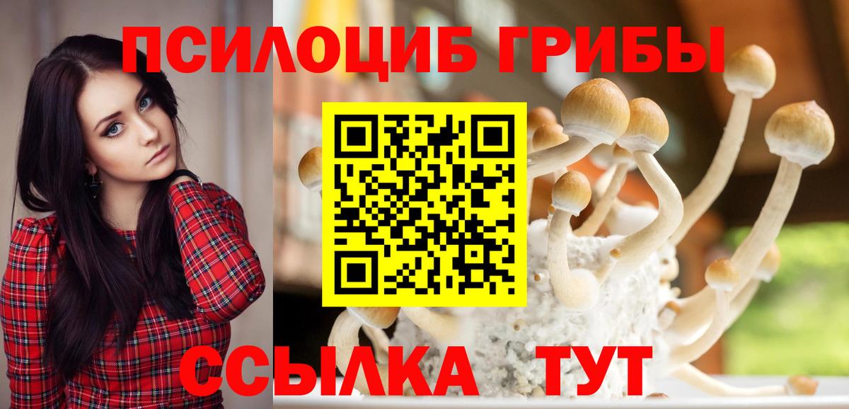 Псилоцибиновые грибы Cubensis Рыбинск